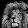 EHRZ's profile picture