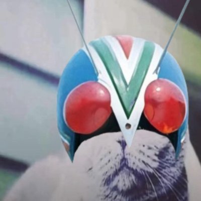 Catderman's profile picture