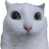 Profilbild von 我像是那种会偷你筑基丹的人吗