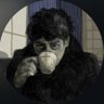 Usul's profile picture