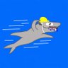 🦈's profile picture