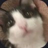 rayyy profil fotoğrafı