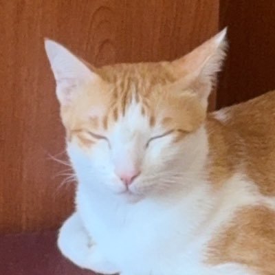 j18_am's profile picture