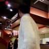 Фото профиля Kotaro Murouchi