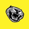 BUCARABRASIL's profile picture