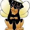 Happy Tails's profile picture