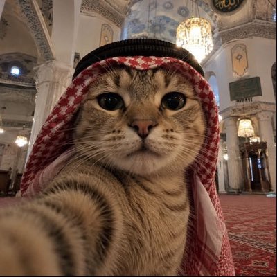 azljja's profile picture