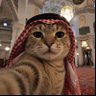 Profilbild von Le J ⵣ