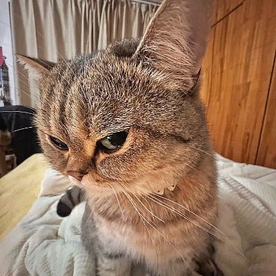 love_soul87's profile picture
