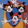 Фото профиля 🤎🩵🩷Annalise loves Animaniacs!🤎🩵🩷