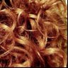adam's profile picture