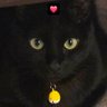 Фото профиля andi is listening to arirang (rest)