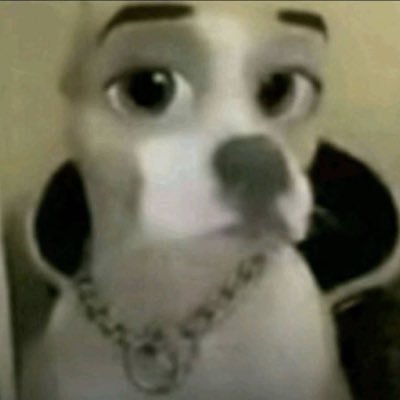arman's profile picture