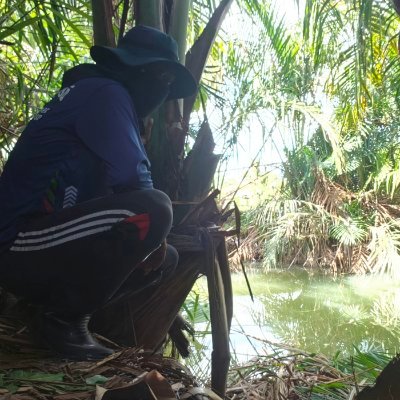 หมูป่า's profile picture