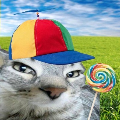 textmemez's profile picture