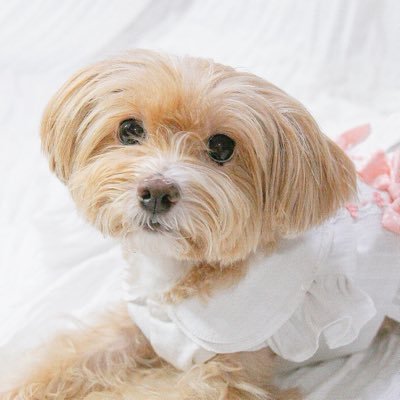 🌿솔잎🌿's profile picture