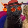 Фото профиля Cat
