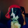 Profilbild von dominnika