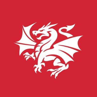 NRL_Dragons's profile picture