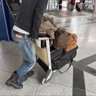 oaty profil fotoğrafı