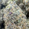 ace 的头像