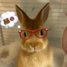Profilbild von sywd