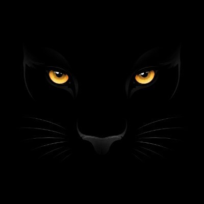 0xPnthr's profile picture