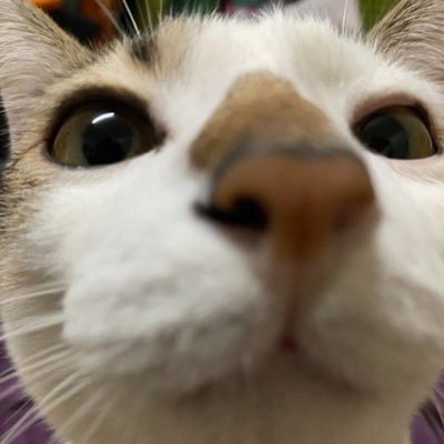handgirlfriend's profile picture