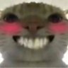 wangz cai's profile picture