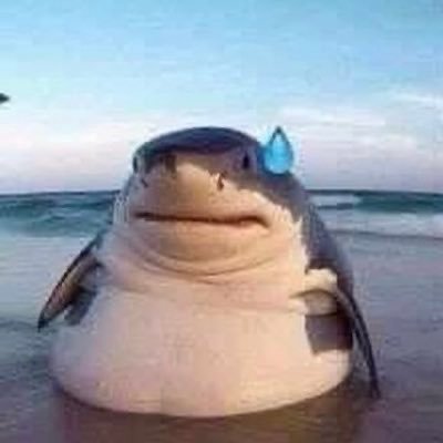 ka1pilled's profile picture