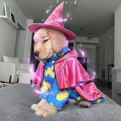 __iifonly's profile picture