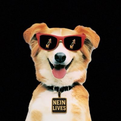 🜏 𝗡𝗘𝗜𝗡🪦𝗟𝗜𝗩𝗘𝗦 🜏's profile picture