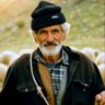 AGRESİFÇOBAN44 profil fotoğrafı