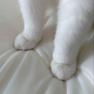 LiHun_8's profile picture
