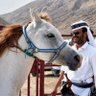 أبين الخير's profile picture