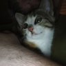 Naymith's profile picture