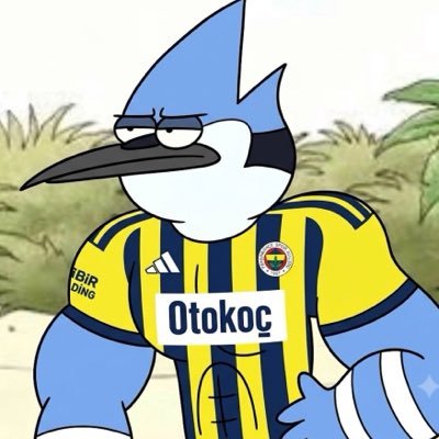 FenerliMatador's profile picture