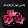فواز's profile picture