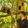 Baoroux profil fotoğrafı