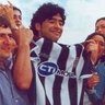 Martin Novo's profile picture