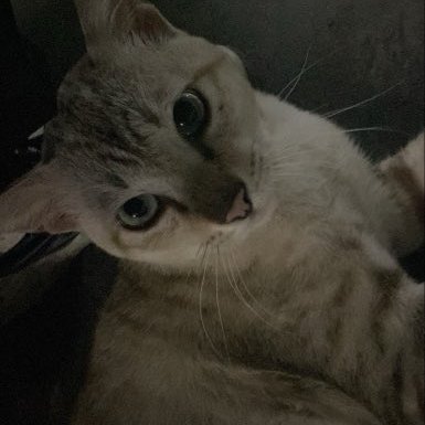 so's profile picture