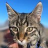 Velcro & Freeman's profile picture
