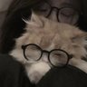 Profilbild von 许诺