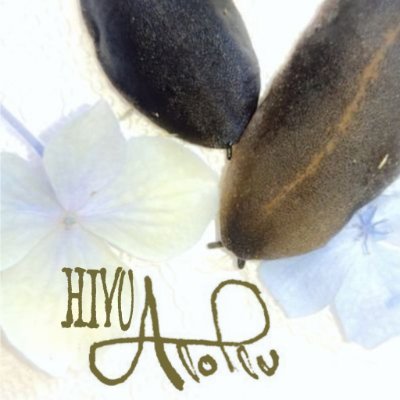 ひゆう かとる/Hiyu Catoru's profile picture