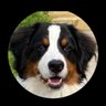 EzzaBernard's profile picture
