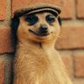 Profilbild von Solo Mighty