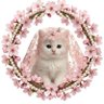 🌸ρ𝓇𝒾𝓃𝒸𝒾ρ𝑒𝓈𝓈𝒶🌸 profil fotoğrafı