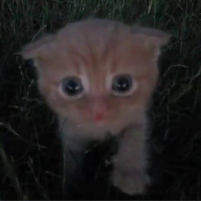 سلطان العارفين's profile picture