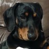 Profilbild von B.J.S