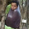 Profilbild von Mamang Gabut